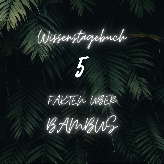 Wissenstagebuch über Bambus