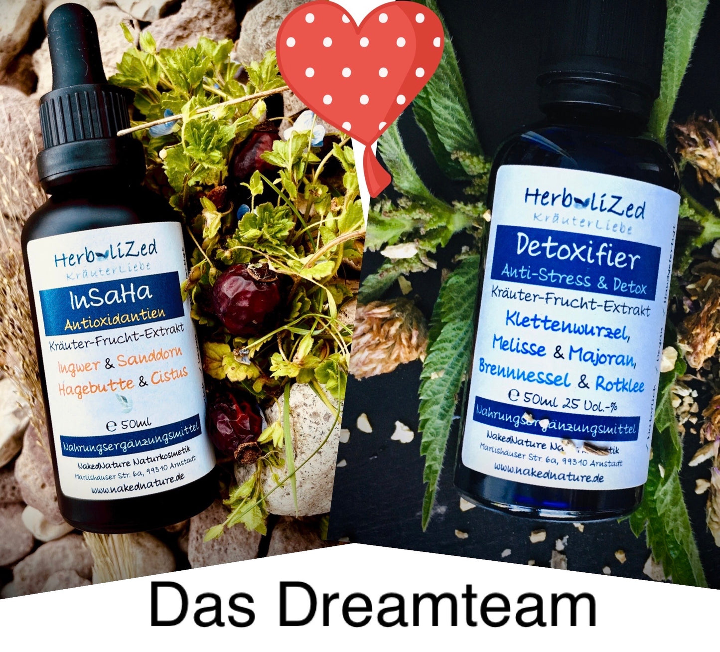 Coffret Booster Métabolisme Extraits de Plantes