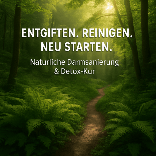 Entgiftung und Darmsanierung für zu Hause