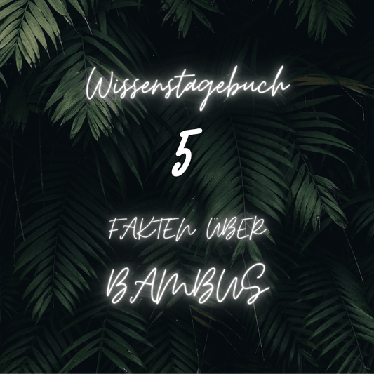 Wissenswertes über Bambus und Kosmetikzubehör