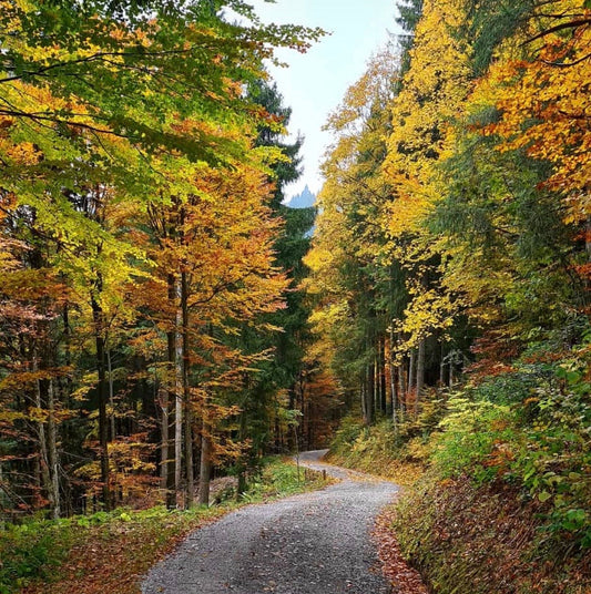 Stark durch den Herbst mit Naturprodukten