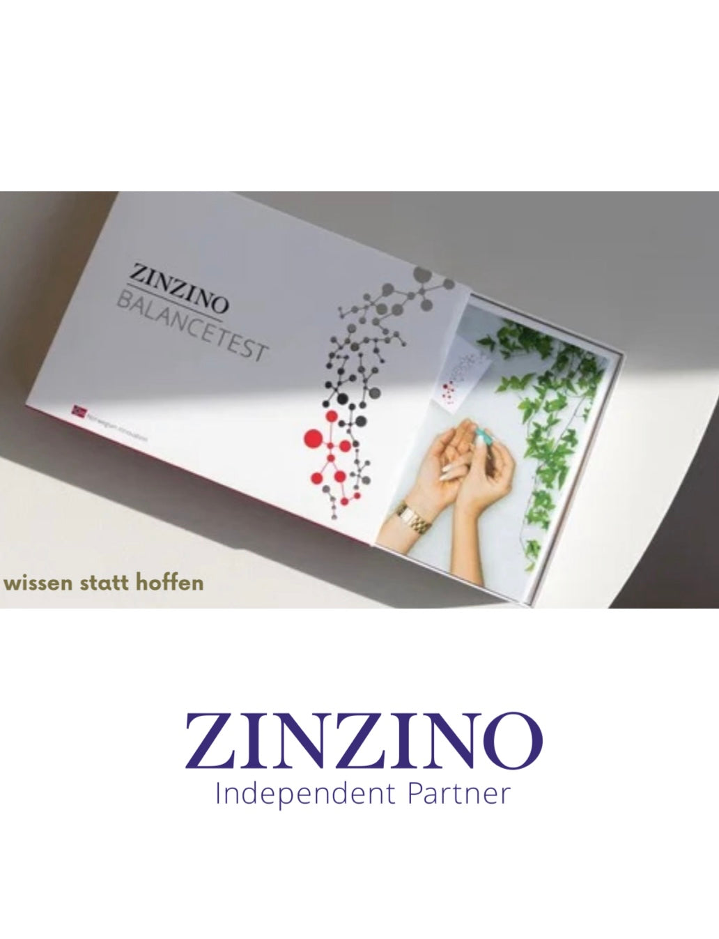 Zinzino Balance Test