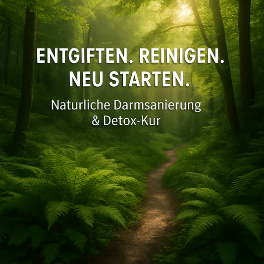 EasyBody Entgiftungskur & Darmsanierung + Startpaket inkl. Beratung